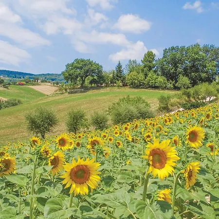 Casa La Tana Della Lepre Hébergement de vacances Cingoli
